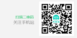 手机站