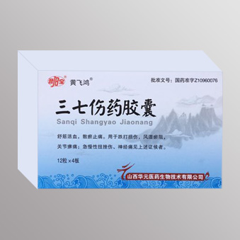 三七伤药胶囊