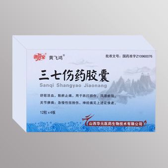 三七伤药胶囊